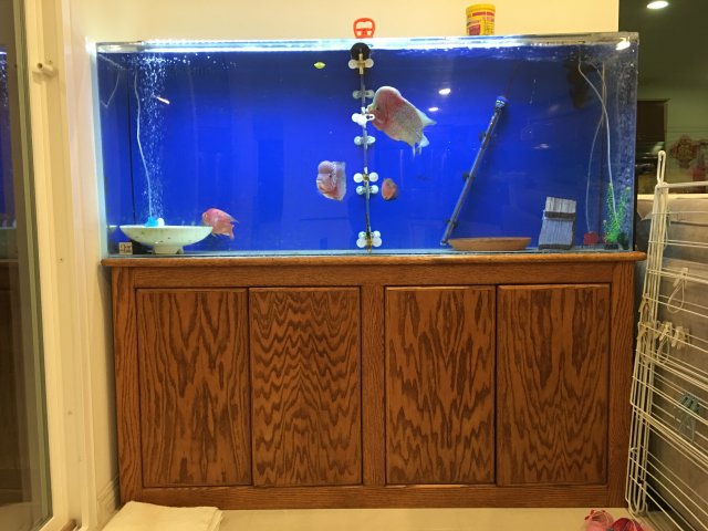 Acrylic 125 GALLON UNIAQUARIUM BUILD IN FILTERCRYLIC FISH TANK