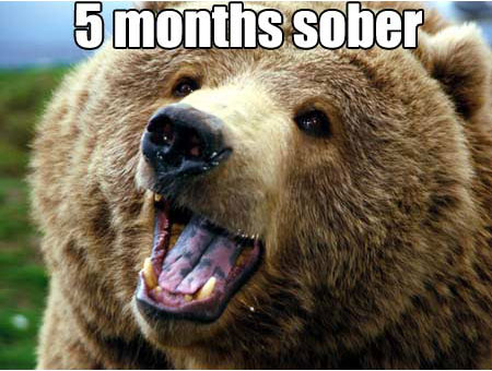 cocaine-bear-now.jpg