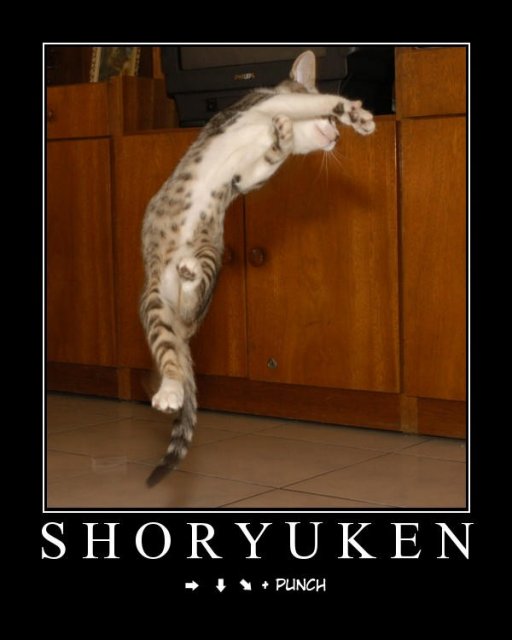 shoryuken.jpg