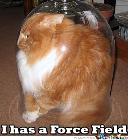 lolcat_o_194055.jpg