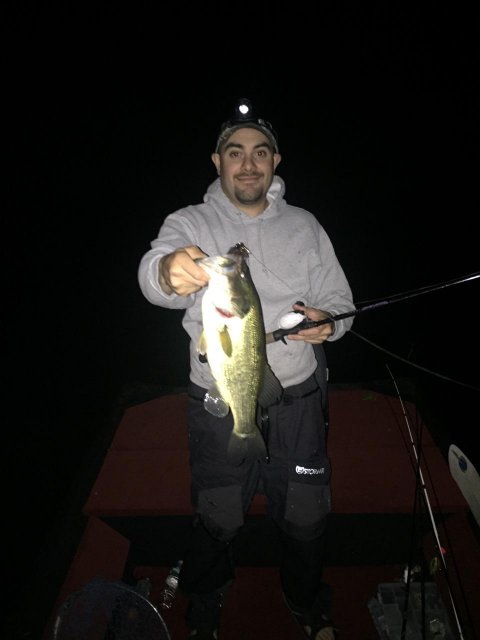 Night fishing pink 2.jpg