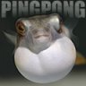 pingpong