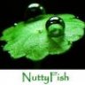 NuttyFish