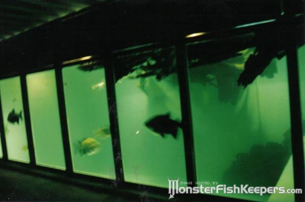 50000 gallon aquarium