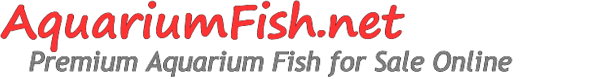 aquariumfish.ecwid.com