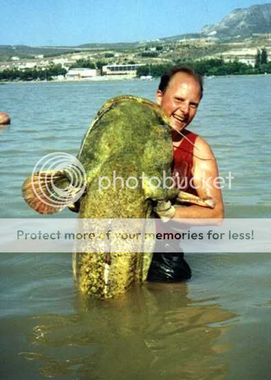 mazunda fish