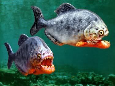 NEW SALMON FISH vs HUNGRY PIRANHA - Feed and Grow Fish - Part 29