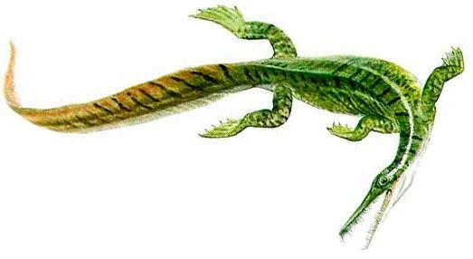 Mesosaurus.jpg