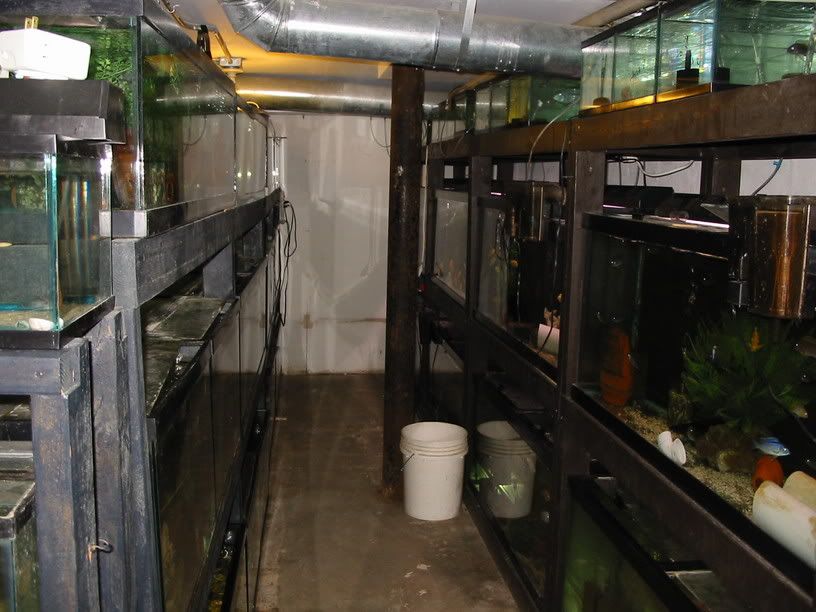 Hatchery5.jpg