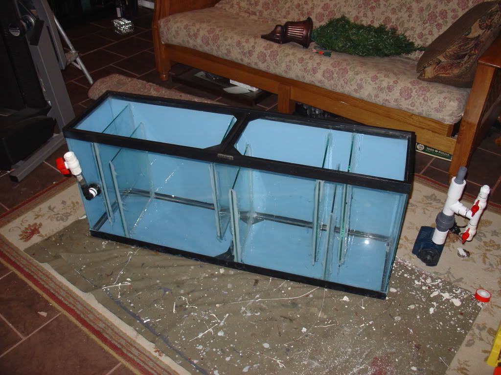 DIY 55 gallon sump - Need help! | MonsterFishKeepers.com