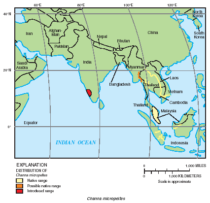 snakehead fish map