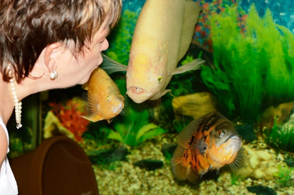 fish-know-how-to-kiss-monsterfishkeepers