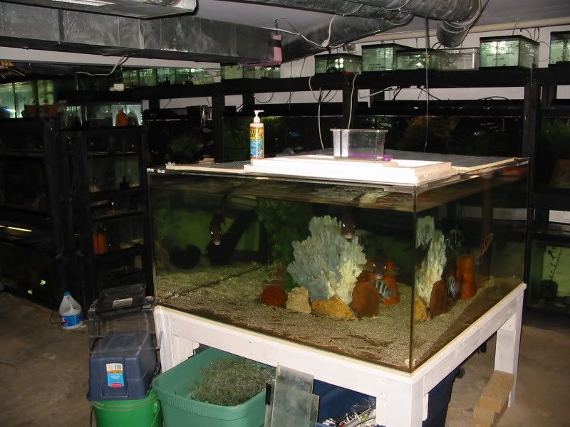 Hatchery2.jpg