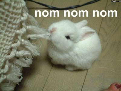 nom-nom-nom.jpg