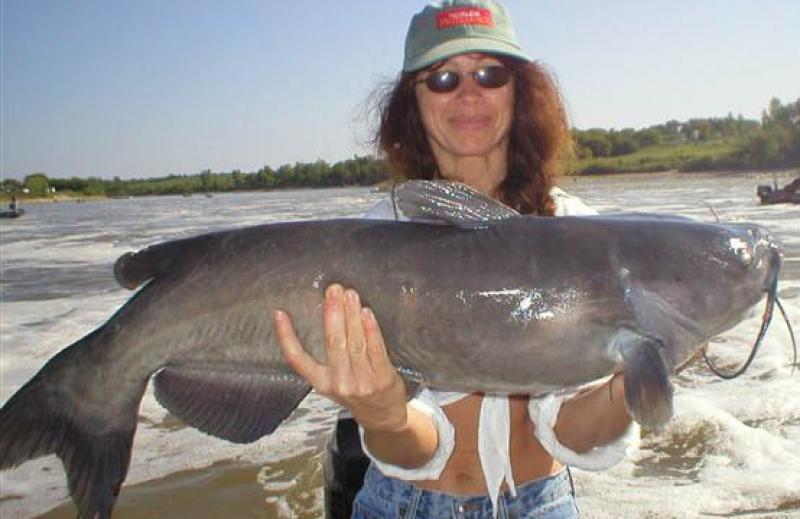 baby channel catfish