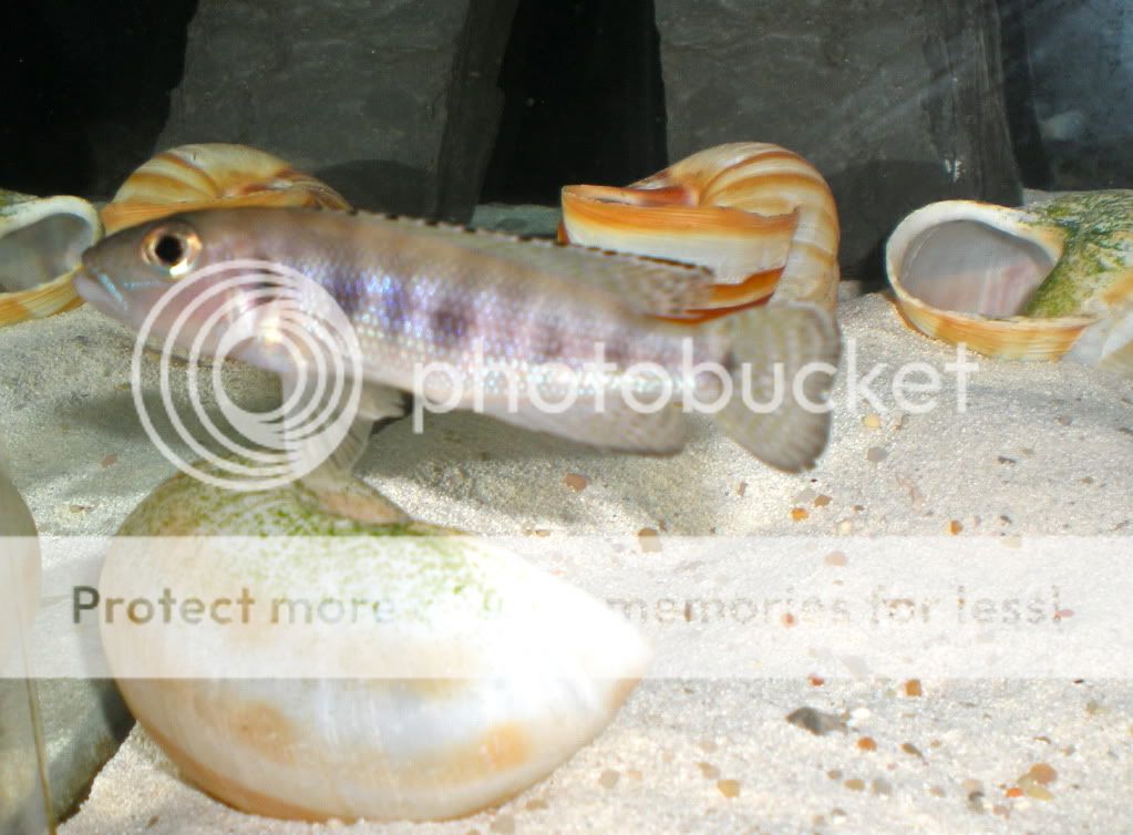 DSCN0728.jpg