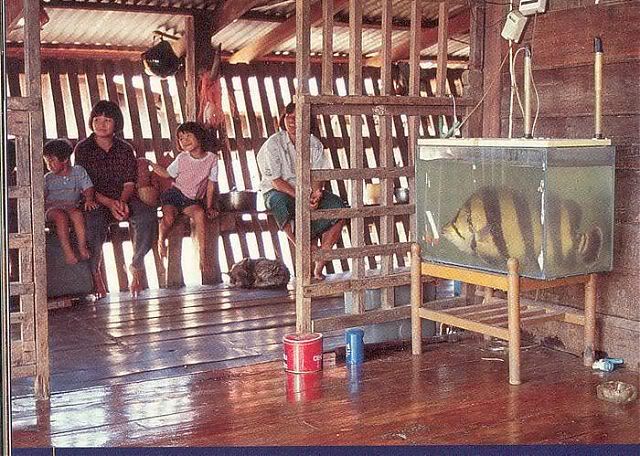 image01.jpg