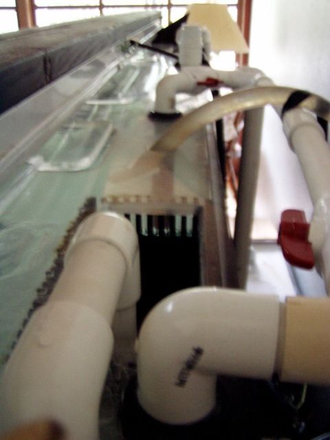 pipes-4.jpg
