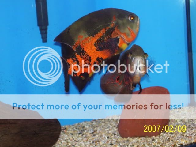 000_0013.jpg