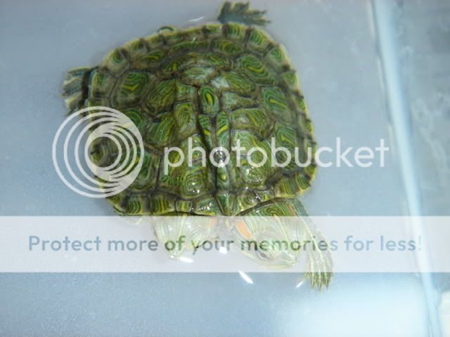 DSC04414.jpg