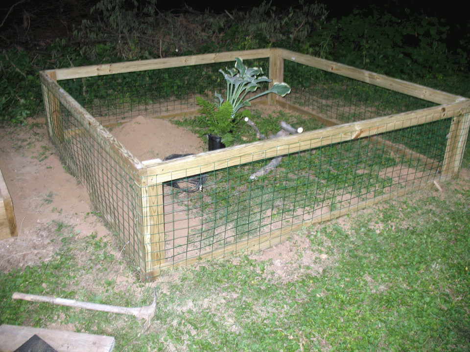 Turtle-Pen2.gif