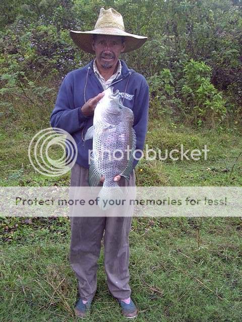14poundlakeapanas.jpg