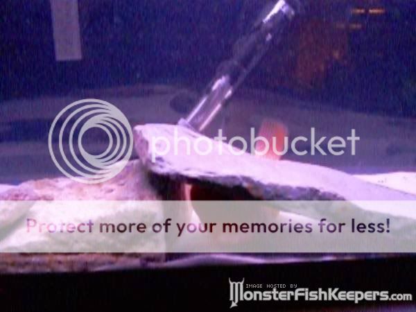 new_0011.jpg