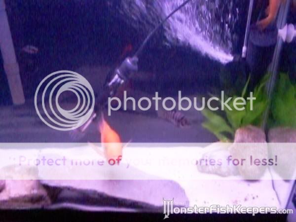 new_0031.jpg