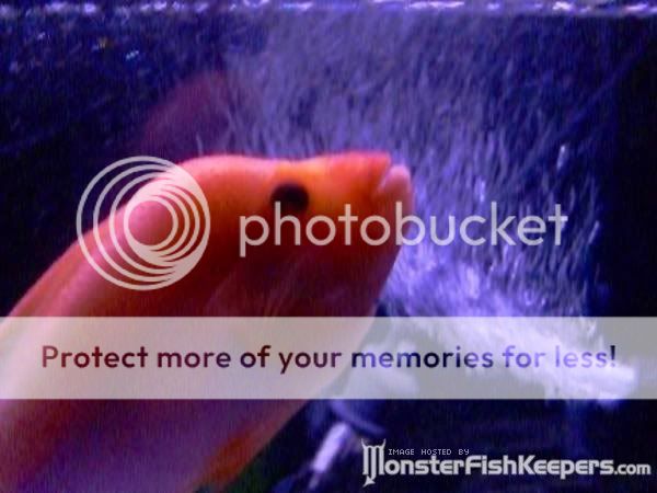new_0081.jpg