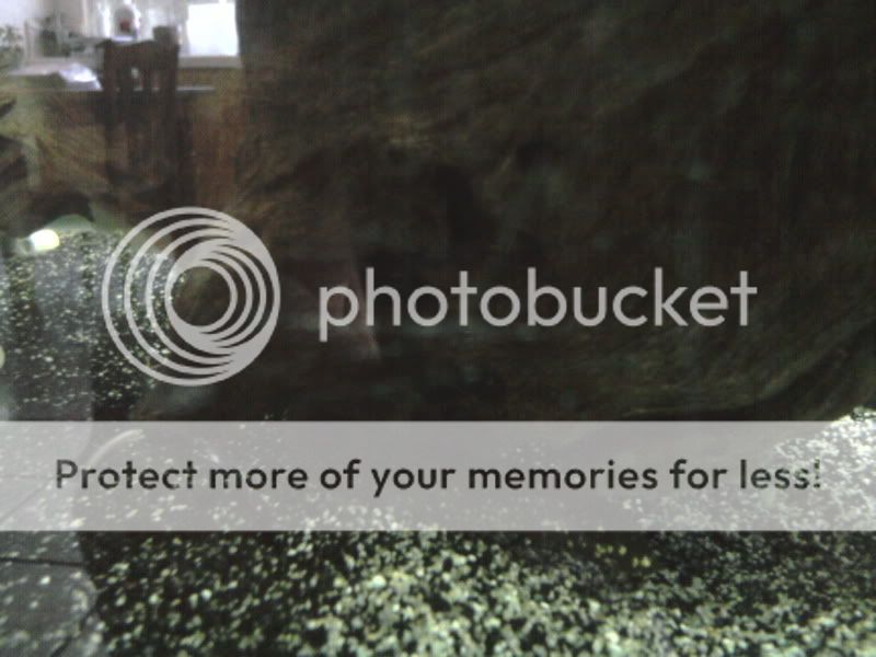 2012-06-11150835.jpg