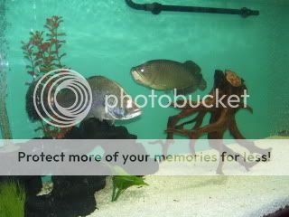 100_1117.jpg