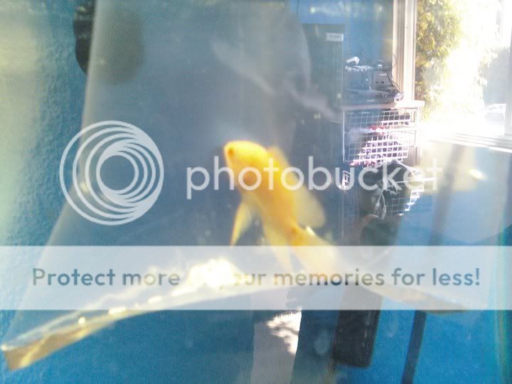 27258_1260936918856_1092667832_3060.jpg