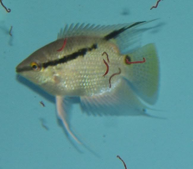 c1fbe401.jpg