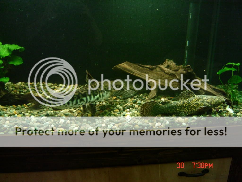 DSC04103.jpg