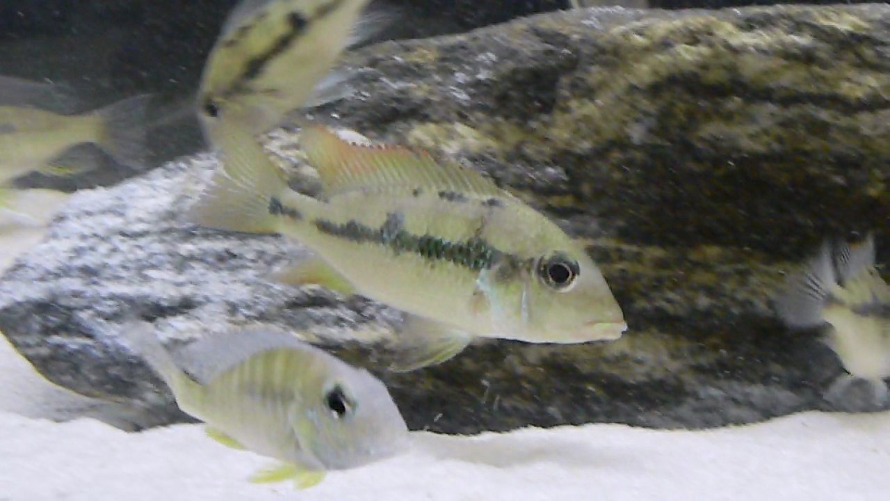 DSCN4216.jpg