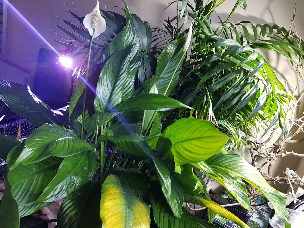 20180331_121720.jpg