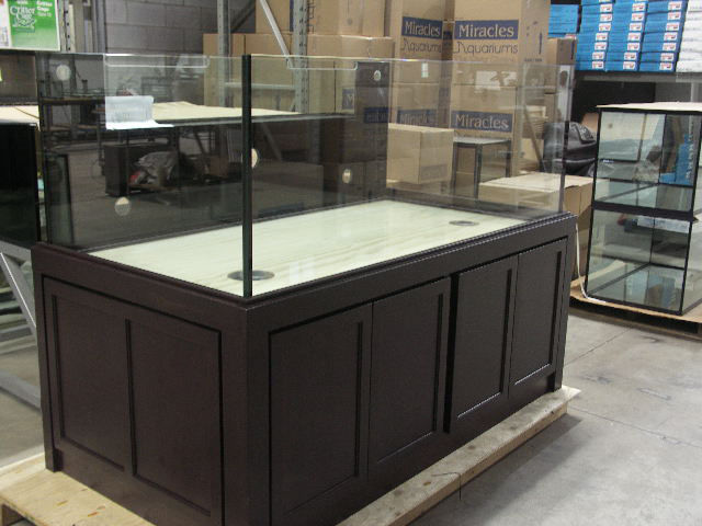 www.miraclesaquariums.com