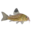 www.planetcatfish.com